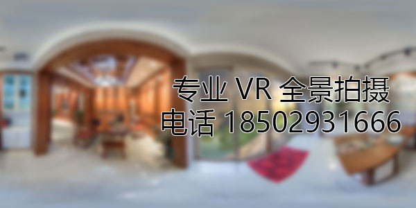 龙华VR全景技术在未来可能的发展方向和应用领域?